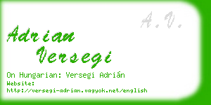 adrian versegi business card